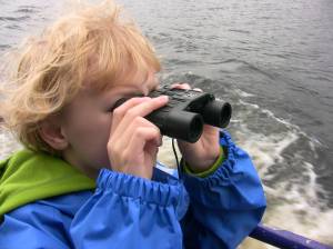 Searching for Nessie Searching for Nessie