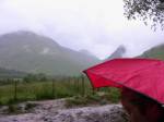 Umbrella in Glencoe